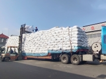 把握機(jī)遇、鉚足干勁、承勢(shì)而上