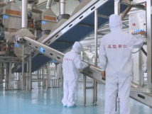 2025年的第一個(gè)月，承德亞歐果仁有限公司在山杏產(chǎn)業(yè)的道路上持續(xù)奮進(jìn)，展現(xiàn)出蓬勃的發(fā)展活力。